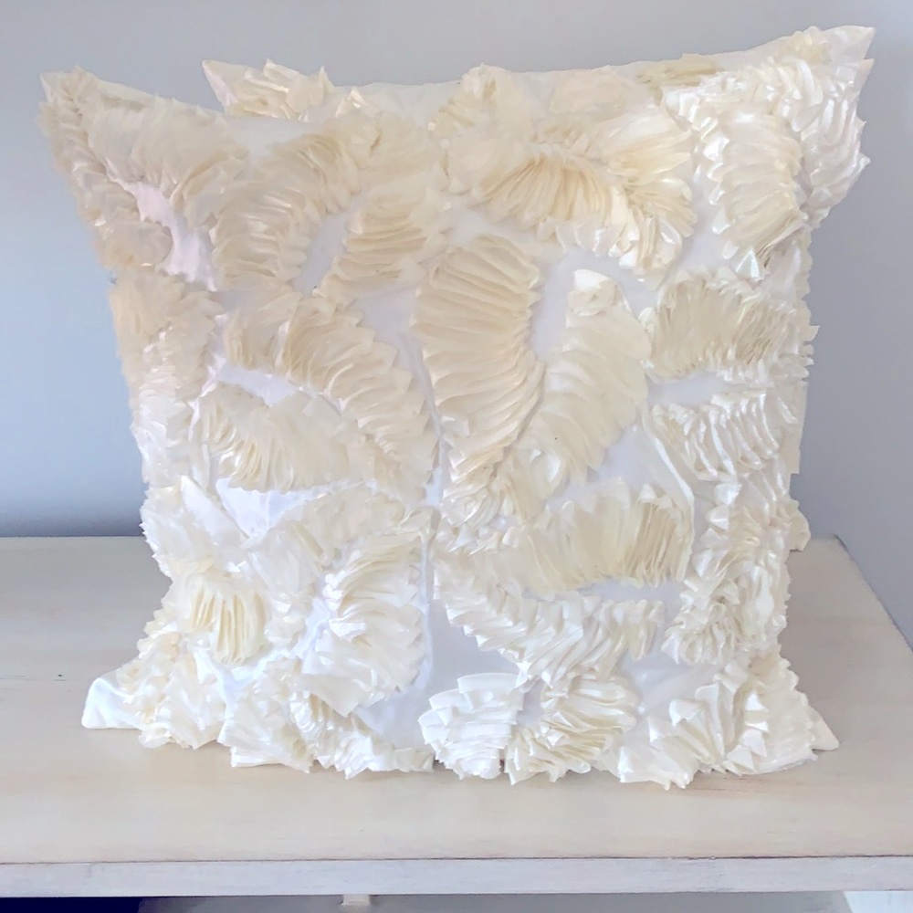 Two matching Accent pillows
